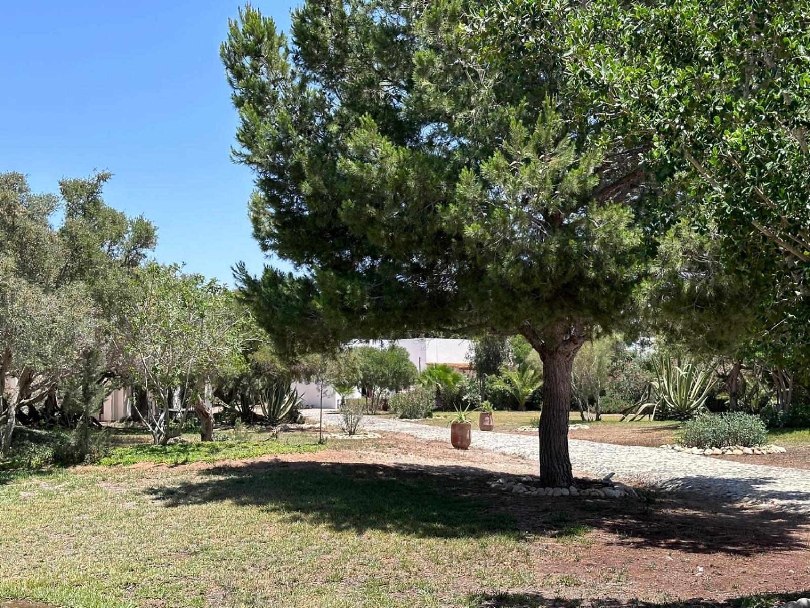 Domaine De L'Arganeraie Hotel Al Ghar Eksteriør billede